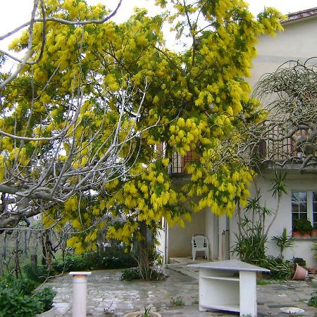 B&B La Mimosa 스펠로 외부 사진