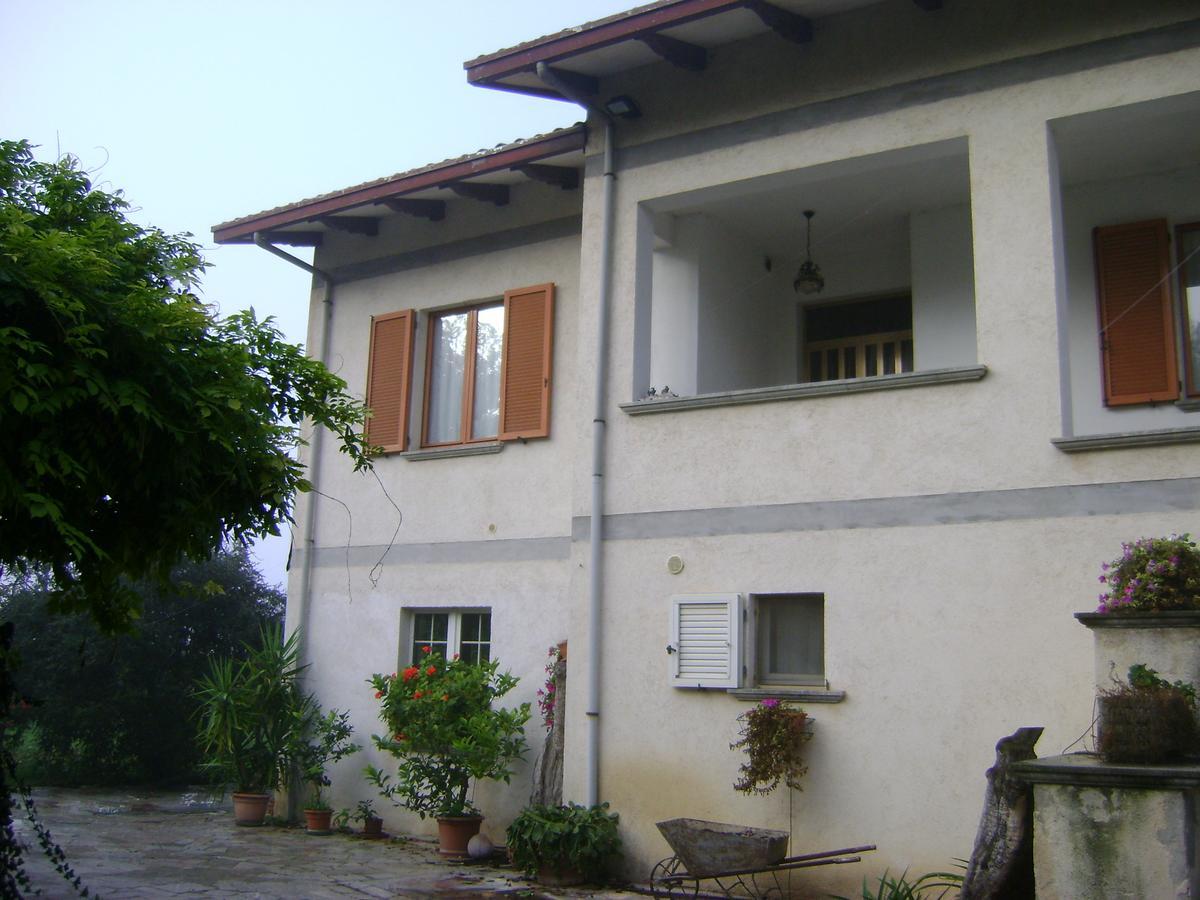 B&B La Mimosa 스펠로 외부 사진